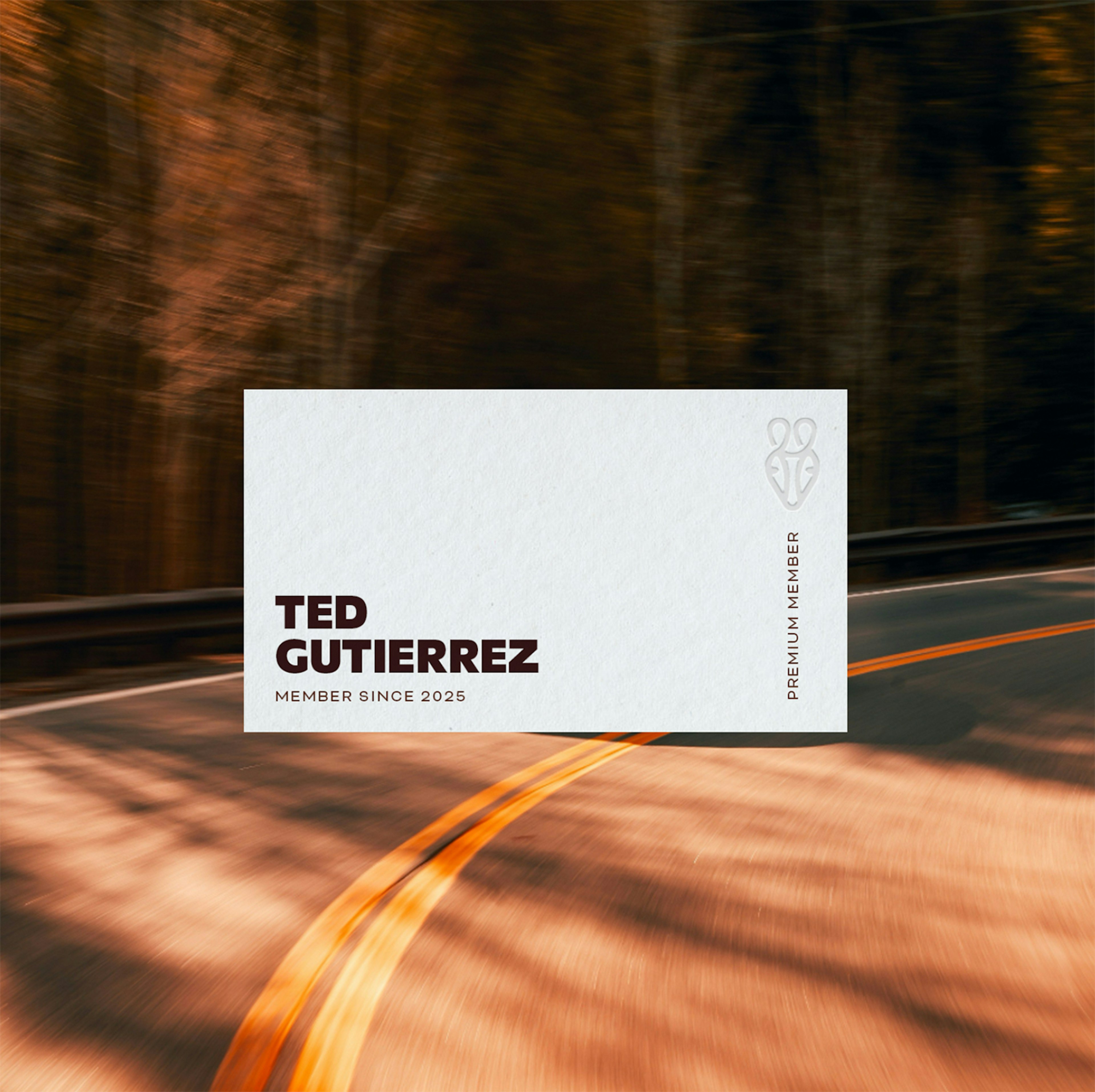 startup brand identity design
